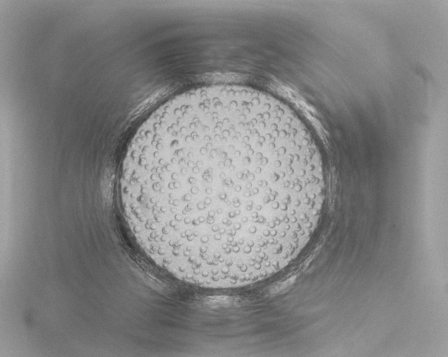 X0000115510153200912181453