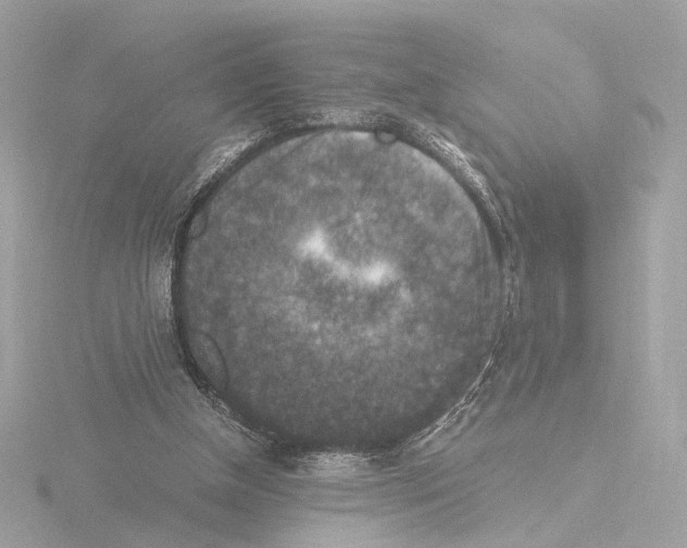 X0000115510154200912181453