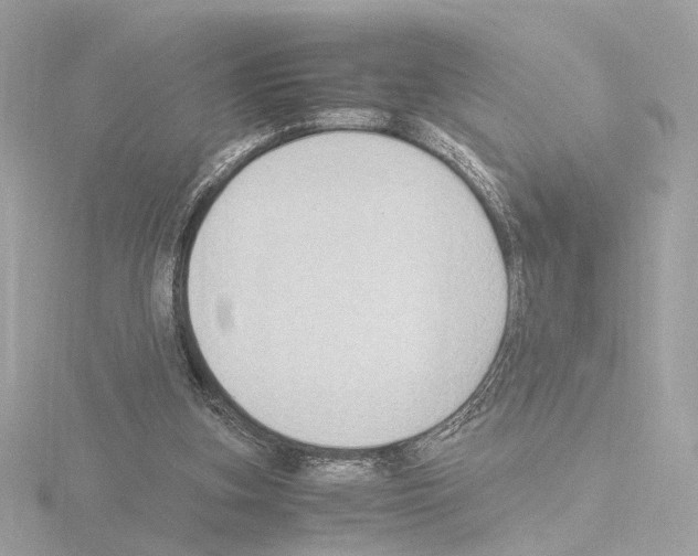 X0000115510155200912181453