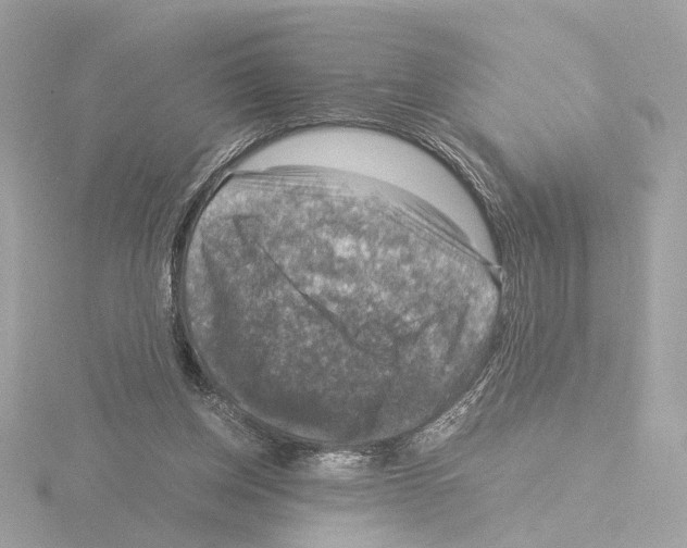 X0000115510158200912181453