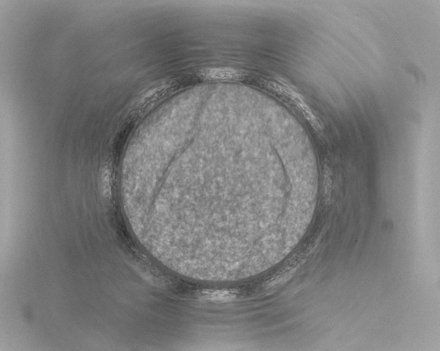 X0000115510161200912181453