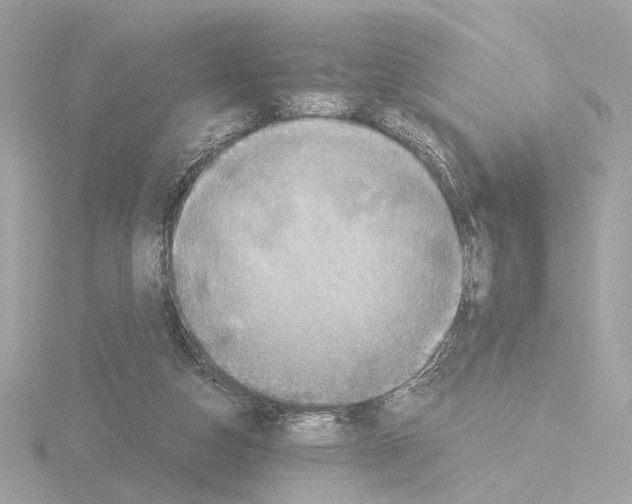 X0000115510162200912181453