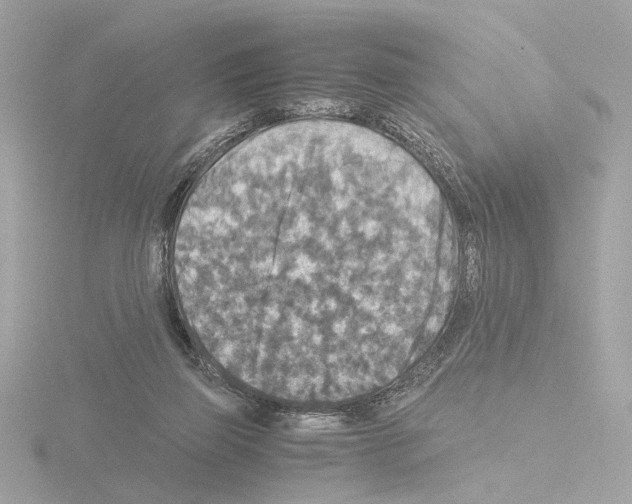 X0000115510165200912181453