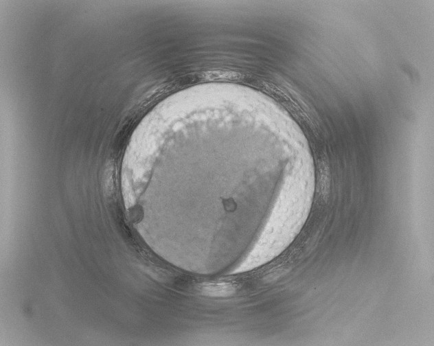 X0000115510169200912181453