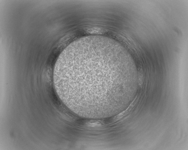 X0000115510175200912181453