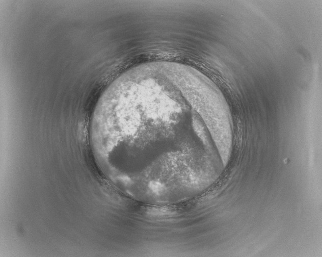 X0000115510177200912181453