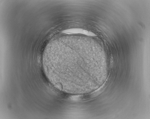 X0000115510178200912181453