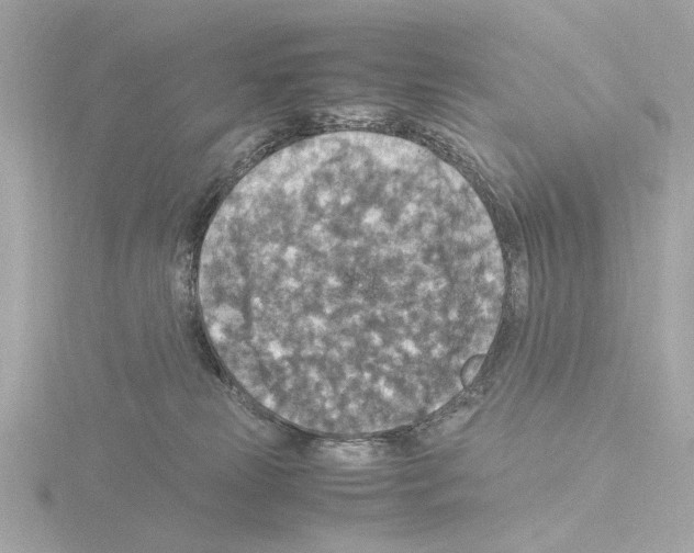 X0000115510181200912181453