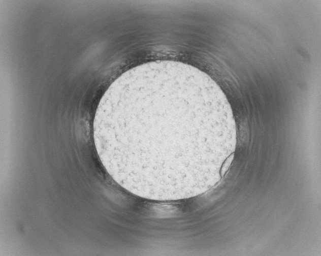 X0000115510183200912181453