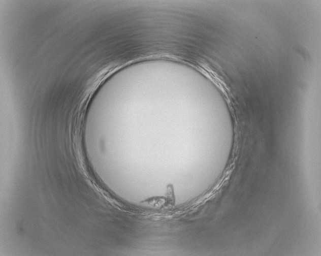 X0000115510193200912181453