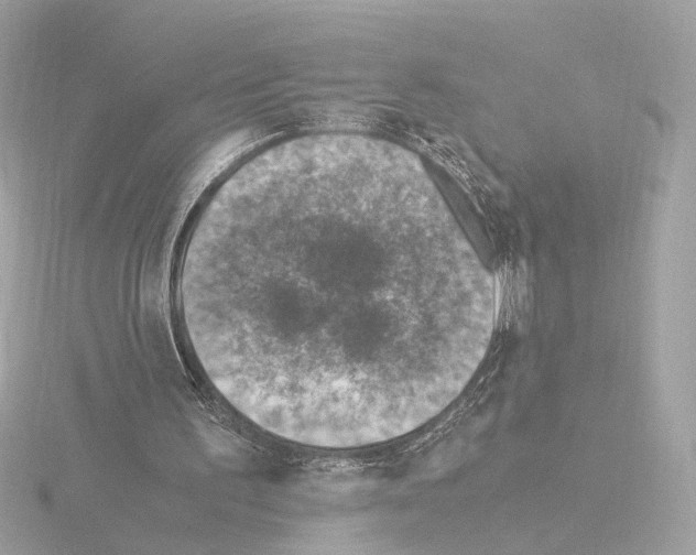 X0000115510195200912181453