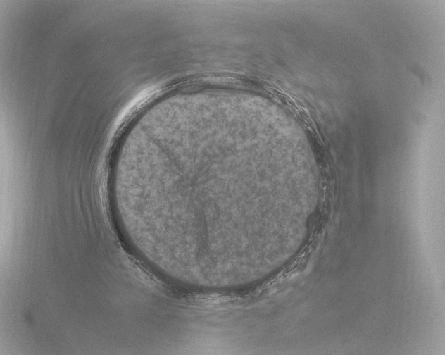 X0000115510197200912181453