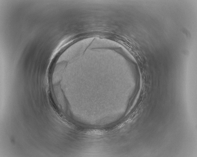 X0000115510198200912181453