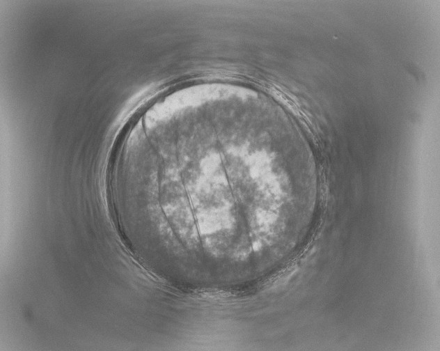 X0000115510199200912181453