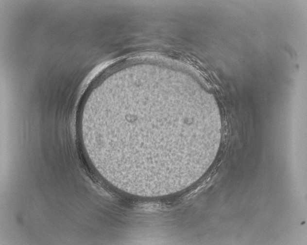 X0000115510200200912181453