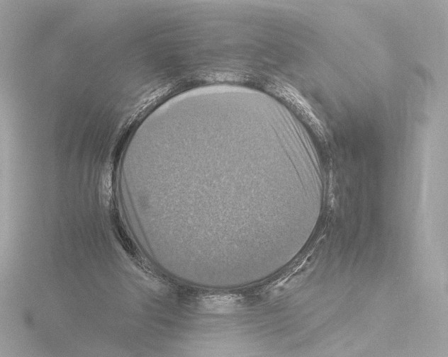 X0000115510202200912181453