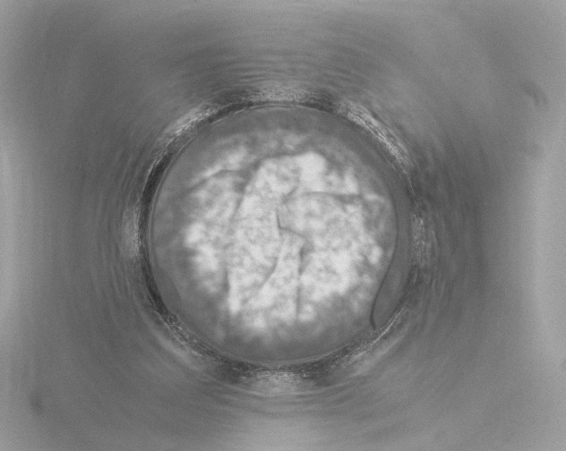 X0000115510203200912181453