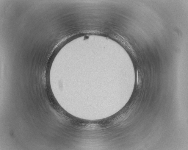 X0000115510204200912181452