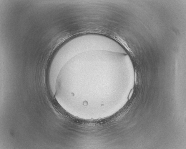 X0000115510205200912181452