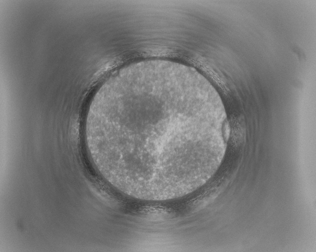 X0000115510207200912181452