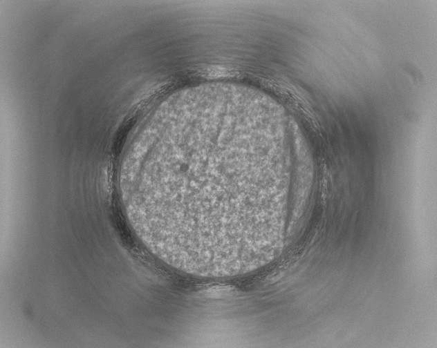 X0000115510210200912181452