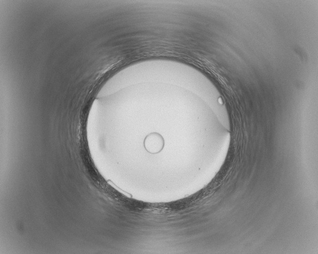 X0000115510211200912181452