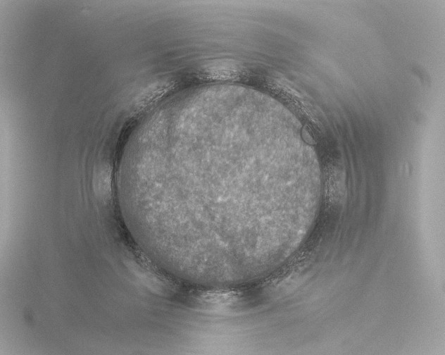 X0000115510213200912181452