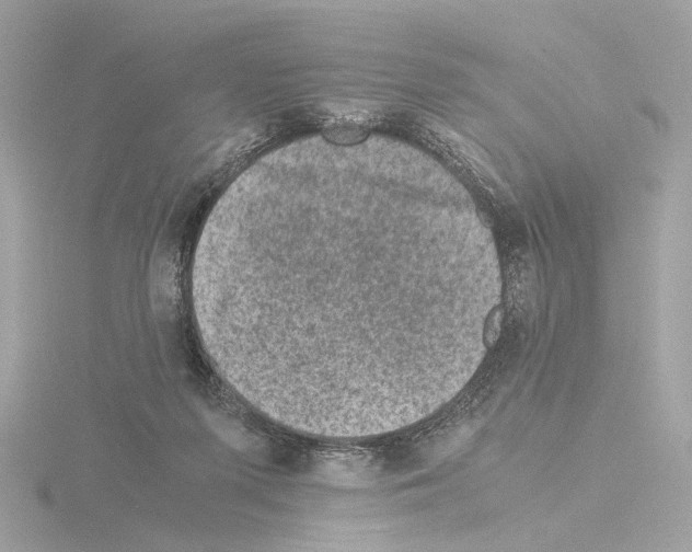 X0000115510215200912181452