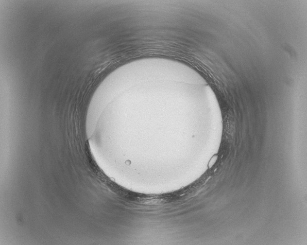 X0000115510219200912181452