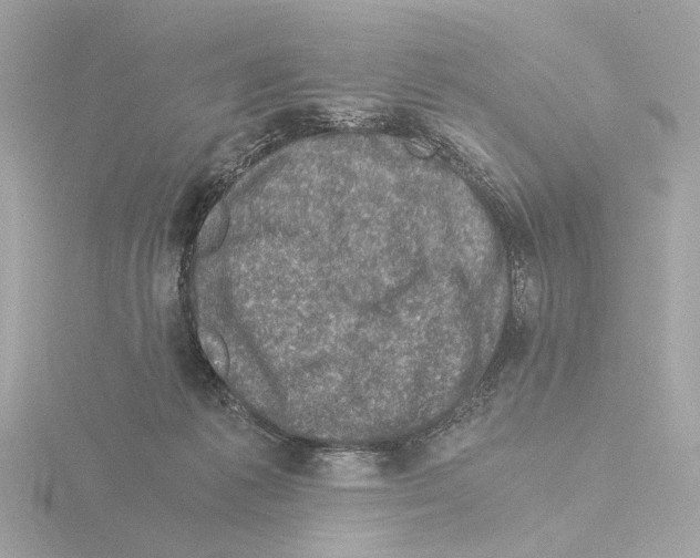 X0000115510221200912181452