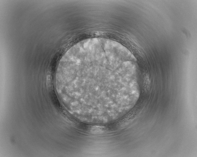 X0000115510222200912181452