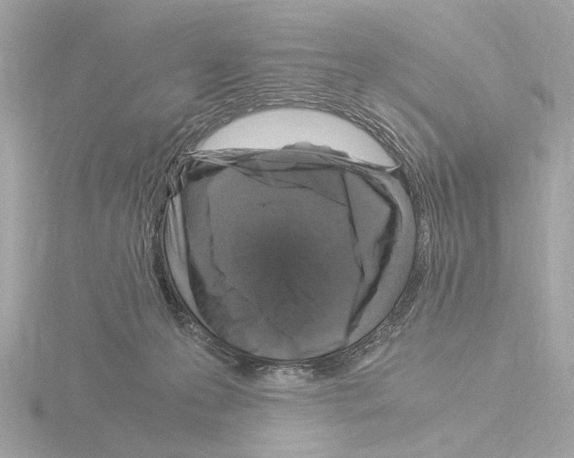 X0000115510223200912181452