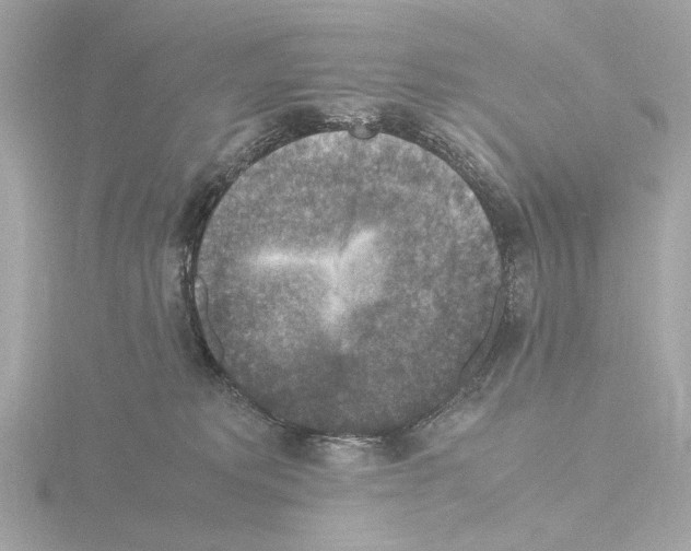 X0000115510229200912181452