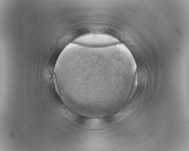 X0000115510237200912181452