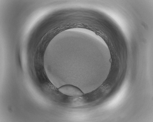 X0000115510239200912181452