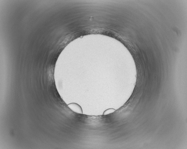 X0000115510240200912181452