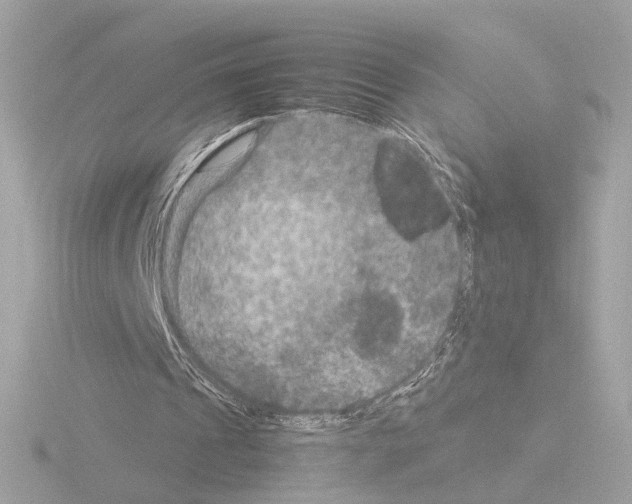 X0000115510241200912181451