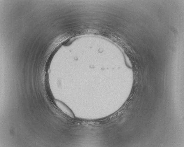 X0000115510242200912181451