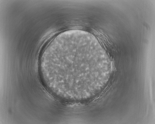 X0000115510243200912181451