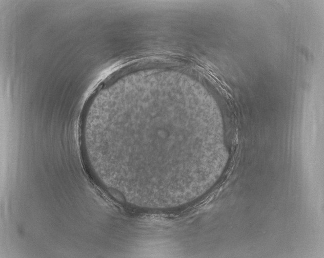 X0000115510244200912181451