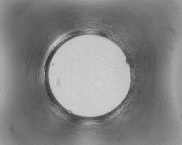 X0000115510246200912181451