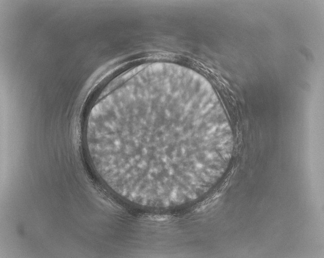 X0000115510247200912181451