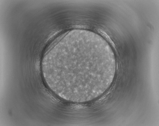 X0000115510249200912181451