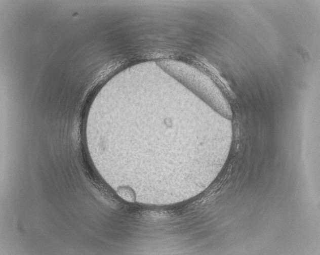 X0000115510250200912181451