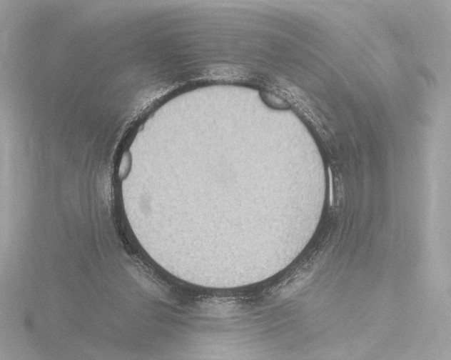 X0000115510252200912181451