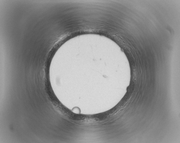 X0000115510256200912181451