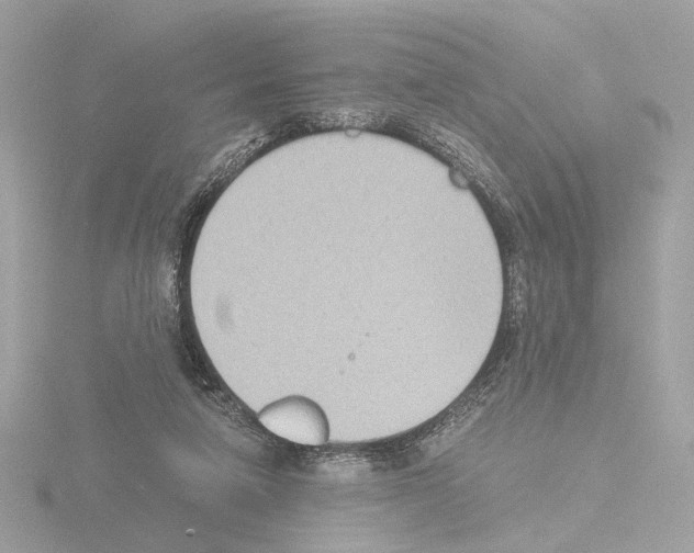 X0000115510258200912181451