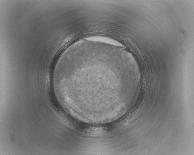 X0000115510260200912181451