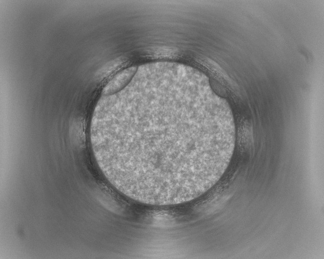 X0000115510264200912181451