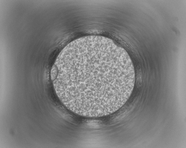 X0000115510268200912181451